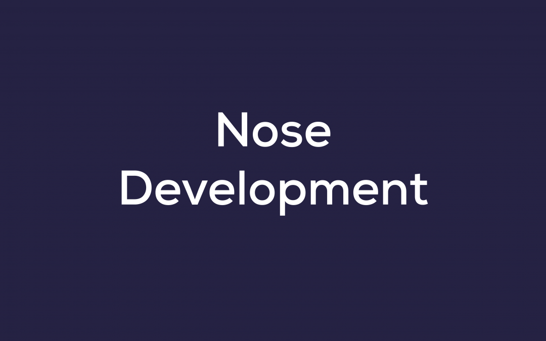 Nose Development